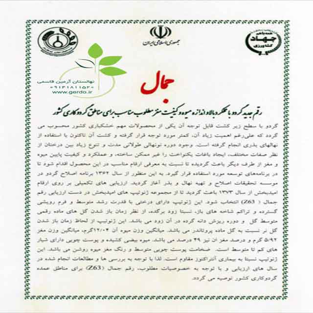 نهال گردو رقم جمال پیوندی 