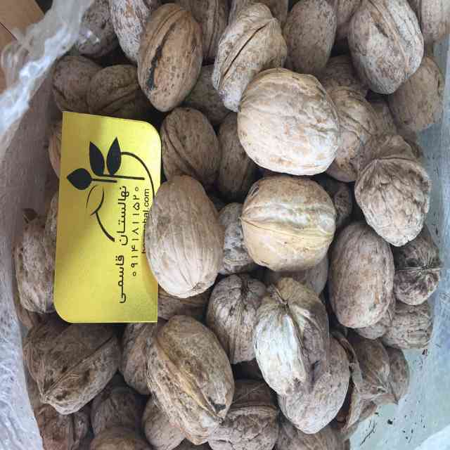 بذر گردو خوشه اي 